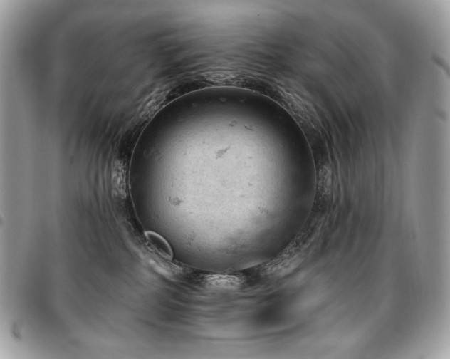 X0000096950234200802081237