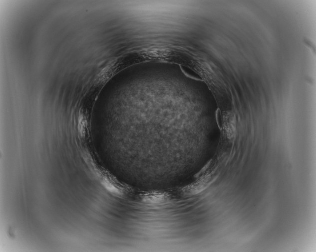 X0000096950235200802081237