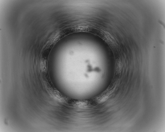 X0000096950236200802081237