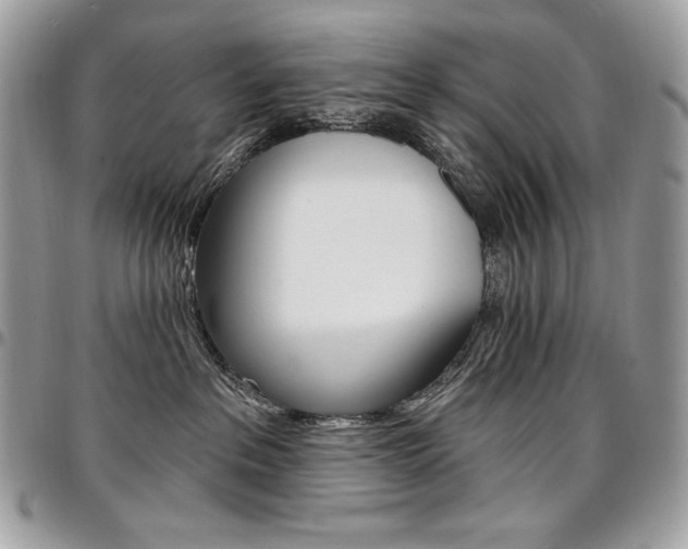 X0000096950237200802081237
