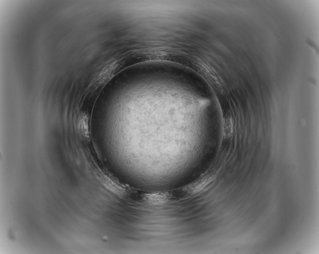 X0000096950238200802081237