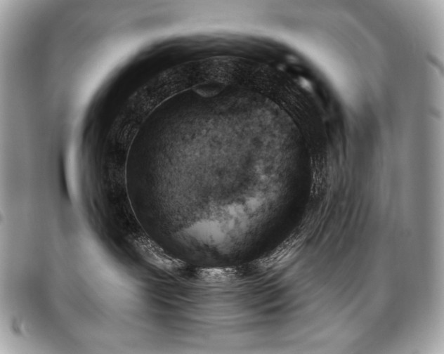 X0000096950239200802081237