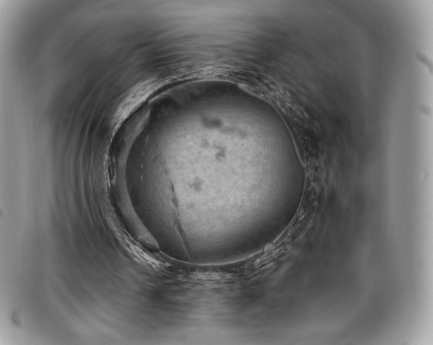 X0000096950242200802081236