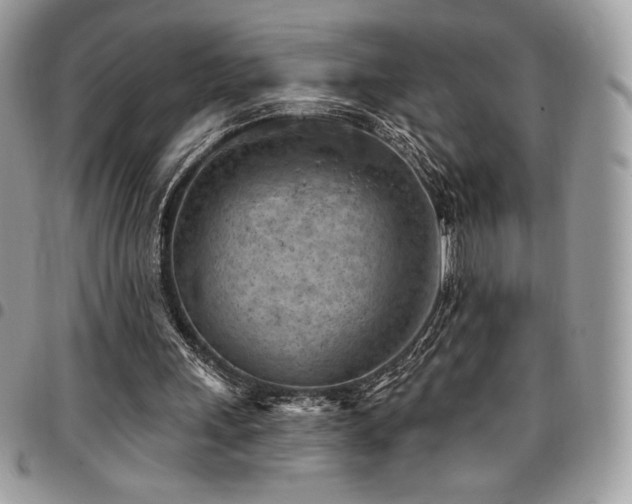 X0000096950243200802081236