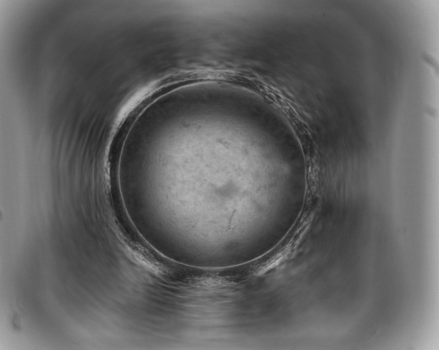 X0000096950246200802081236