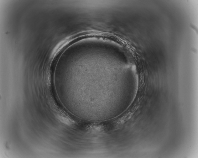 X0000096950247200802081236
