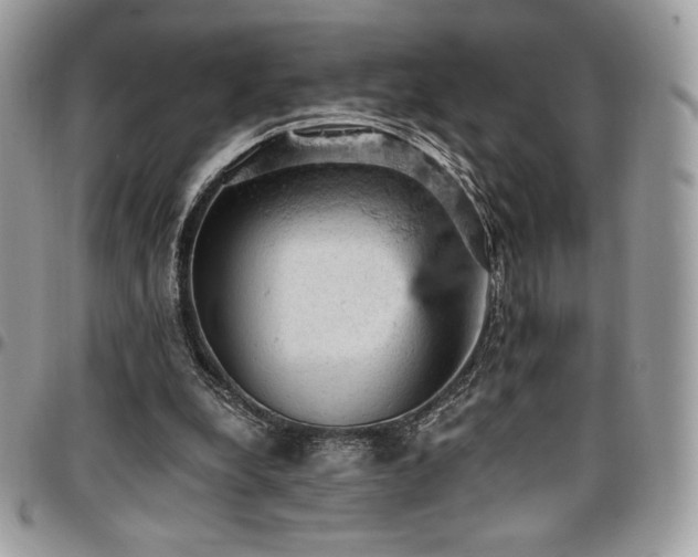 X0000096950248200802081236