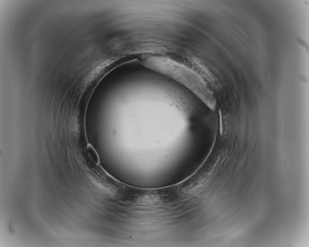 X0000096950252200802081236
