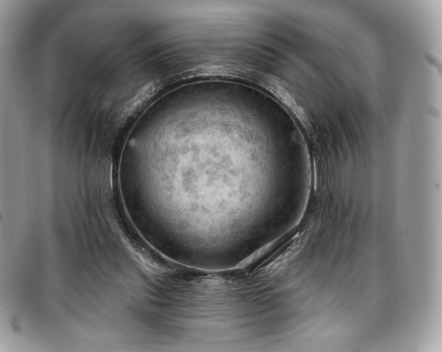 X0000096950253200802081236