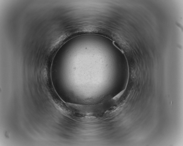 X0000096950256200802081236