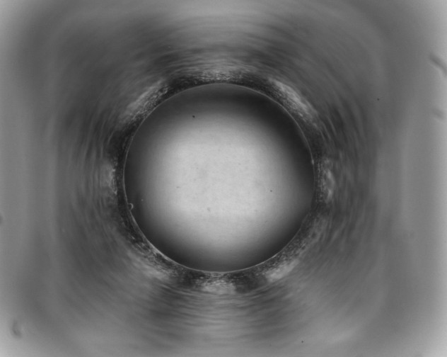 X0000096950258200802081236