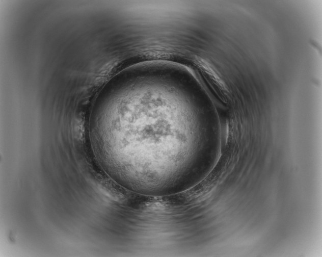 X0000096950259200802081236
