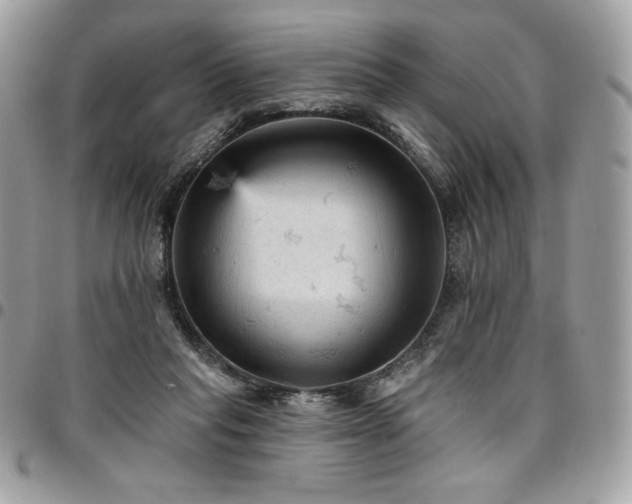 X0000096950261200802081236