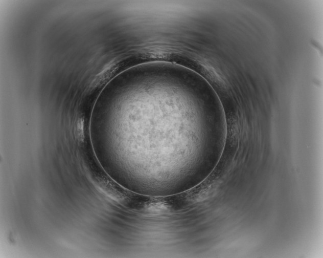 X0000096950262200802081236