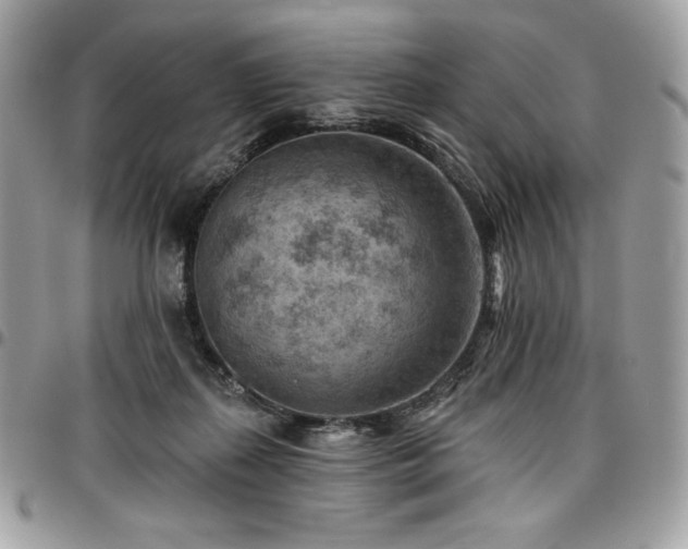 X0000096950267200802081236