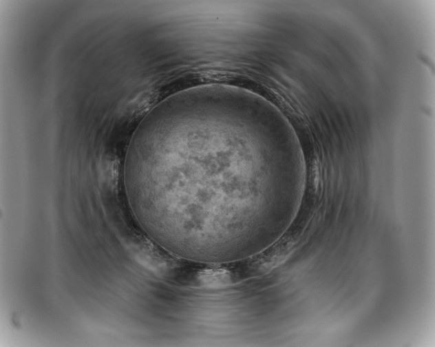 X0000096950271200802081236