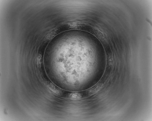 X0000096950275200802081236