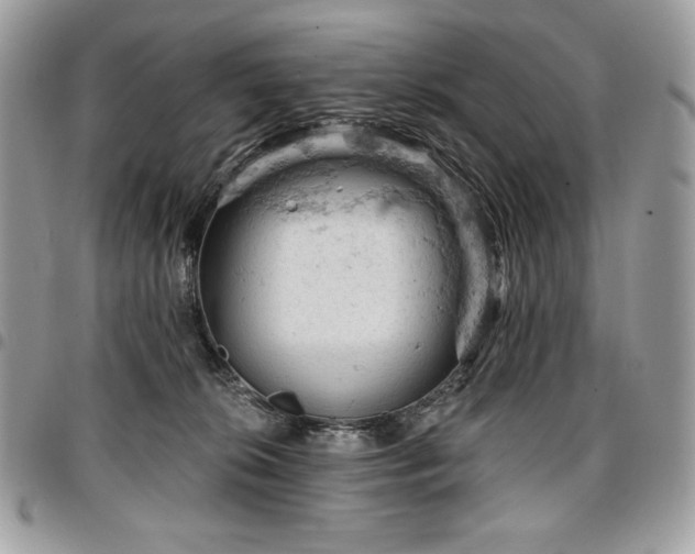 X0000096950276200802081236