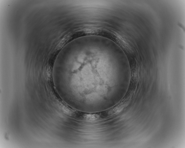 X0000096950277200802081236