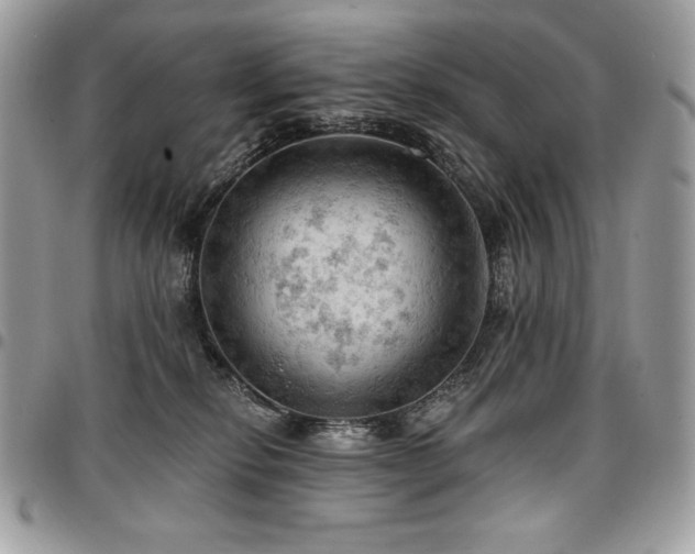 X0000096950278200802081236
