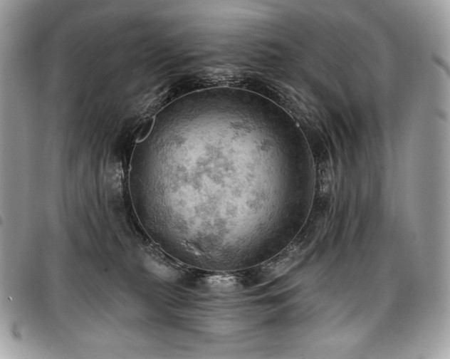 X0000096950279200802081236