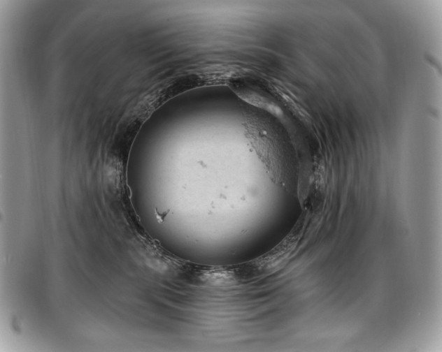 X0000096950283200802081236