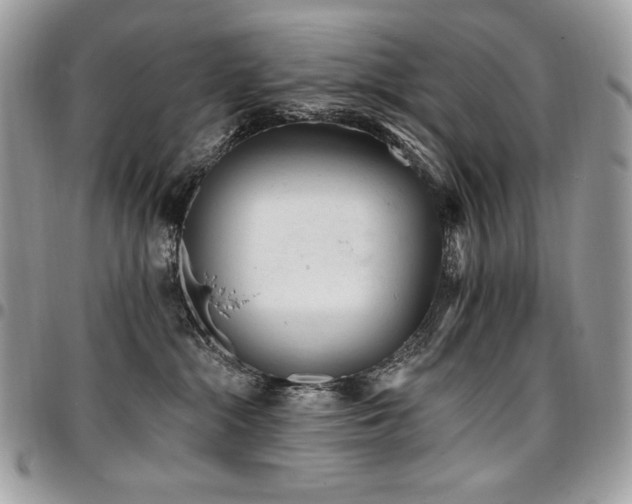 X0000096950284200802081236