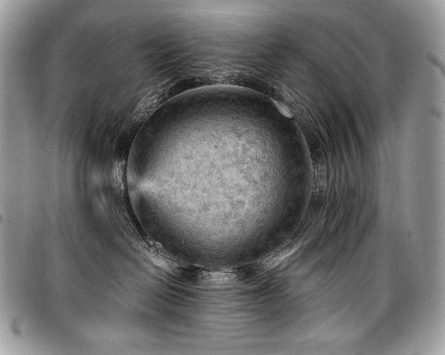 X0000096950286200802081237
