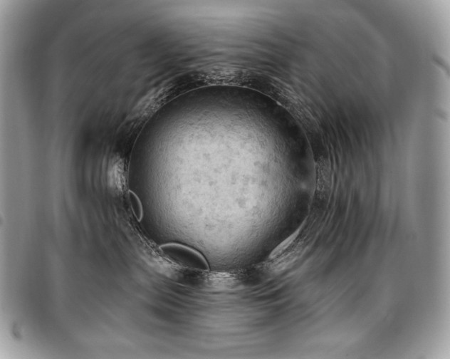X0000096950287200802081237
