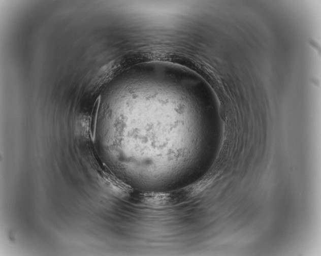 X0000096950288200802081237