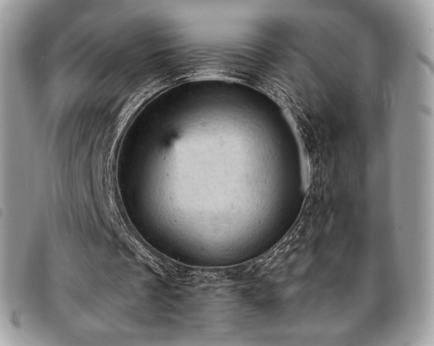 X0000096950289200802081236