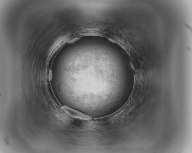 X0000096950293200802081236