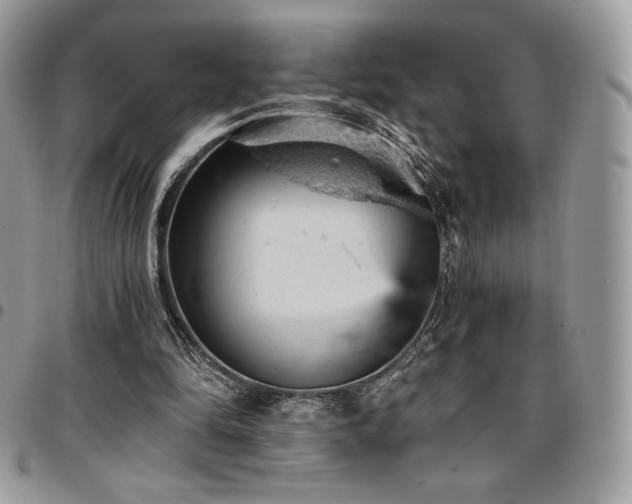 X0000096950294200802081236