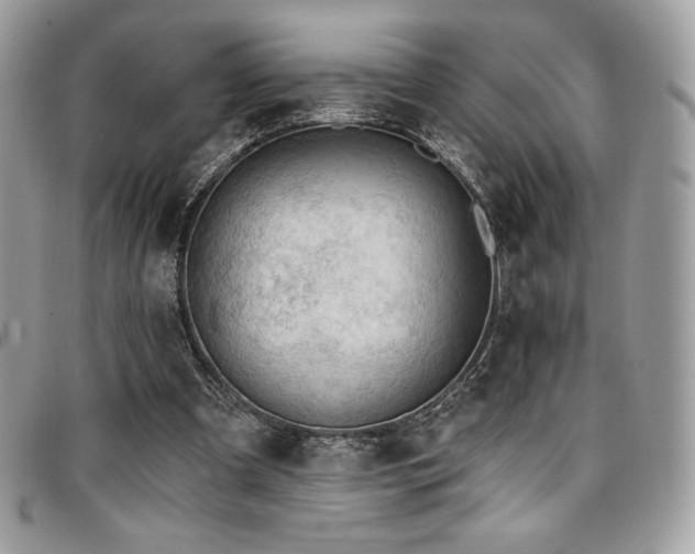 X0000096950297200802081236