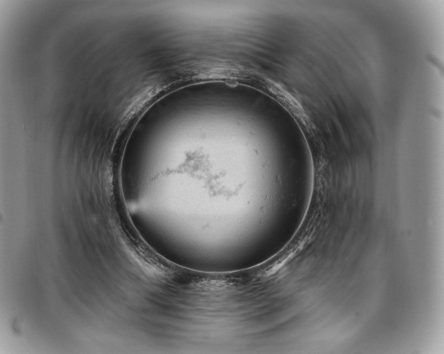 X0000096950298200802081236