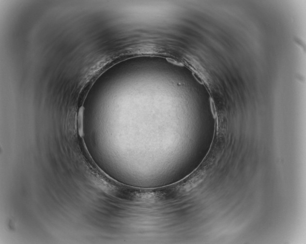 X0000096950301200802081236