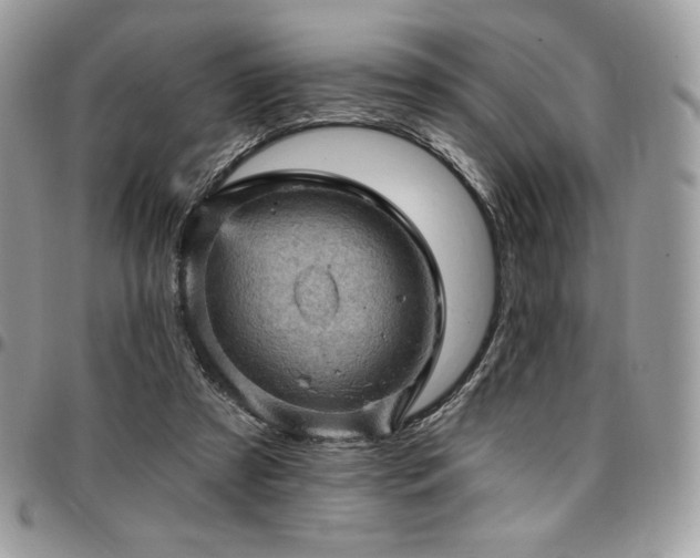 X0000096950305200802081236