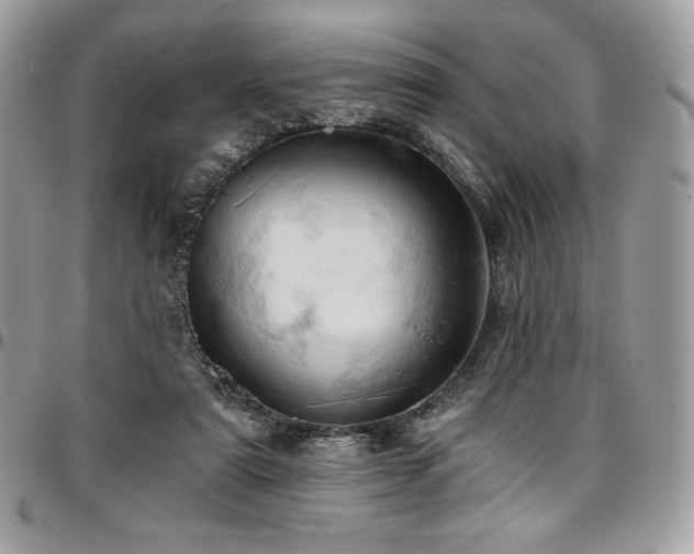 X0000096950307200802081236
