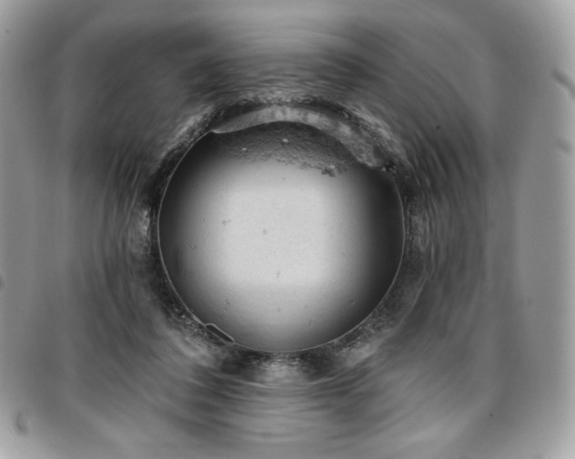 X0000096950308200802081236