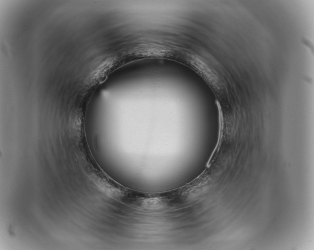X0000096950309200802081236