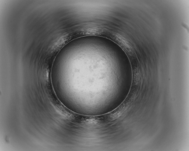 X0000096950310200802081236