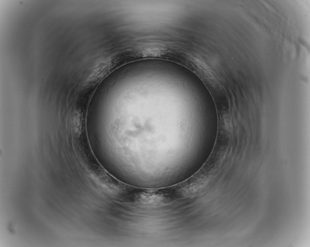 X0000096950311200802081236