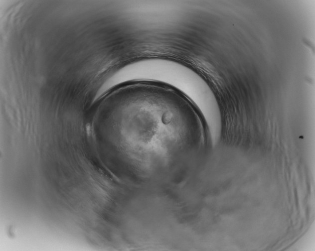X0000096950312200802081236