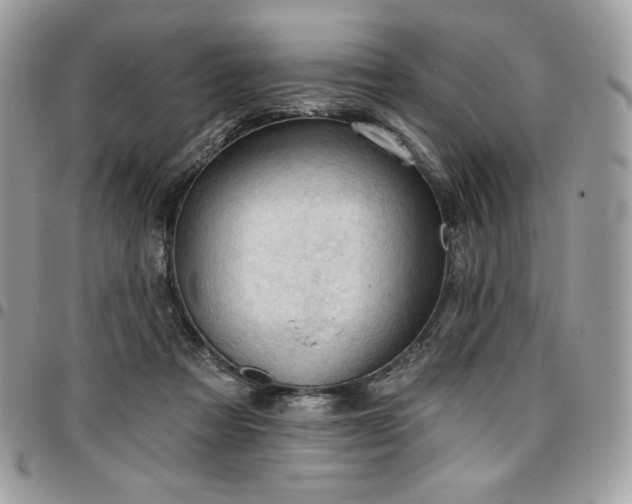 X0000096950313200802081236