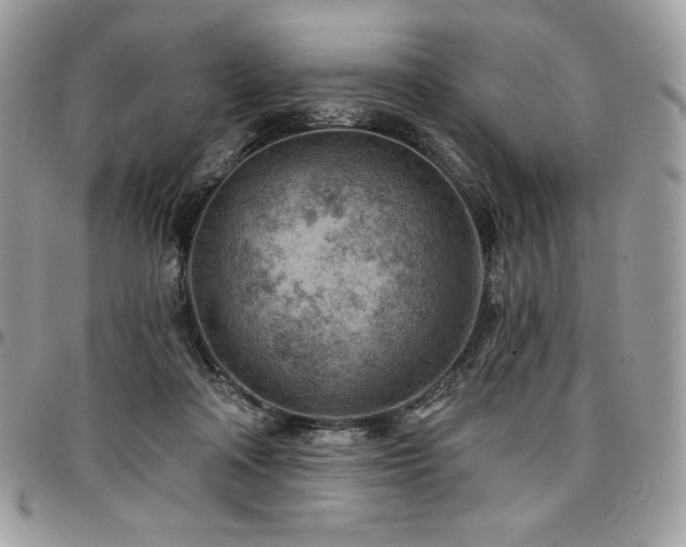 X0000096950314200802081236