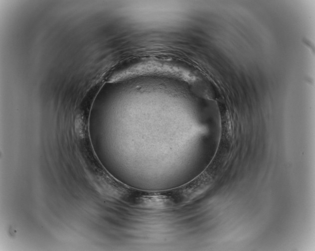 X0000096950316200802081236