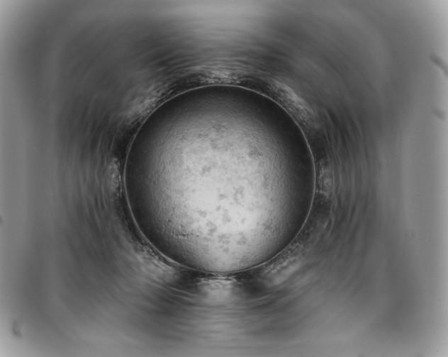 X0000096950318200802081236