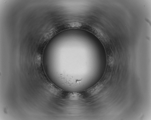 X0000096950321200802081235