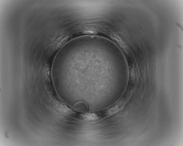 X0000096950322200802081235