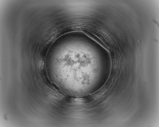 X0000096950324200802081235
